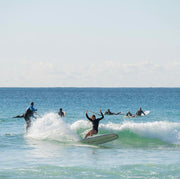 Nettleton Surfboards Multiply 9'6 cutback